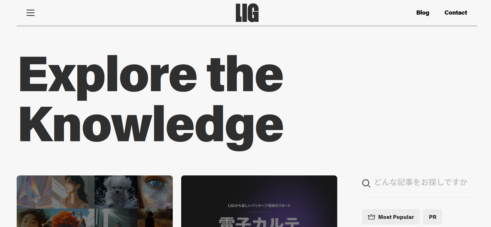 成功事例5．LIGブログ（株式会社LIG）
