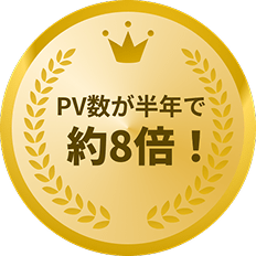 PV数が半年で約8倍